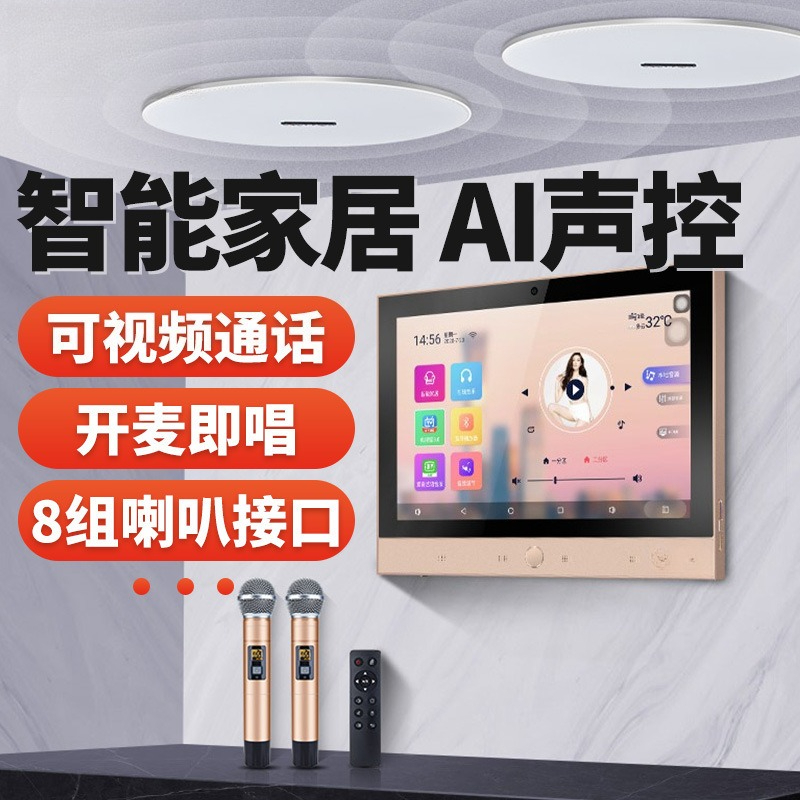 DM-8 + T5-6.5 Home Background  - đánh giá và giá Audio House Music