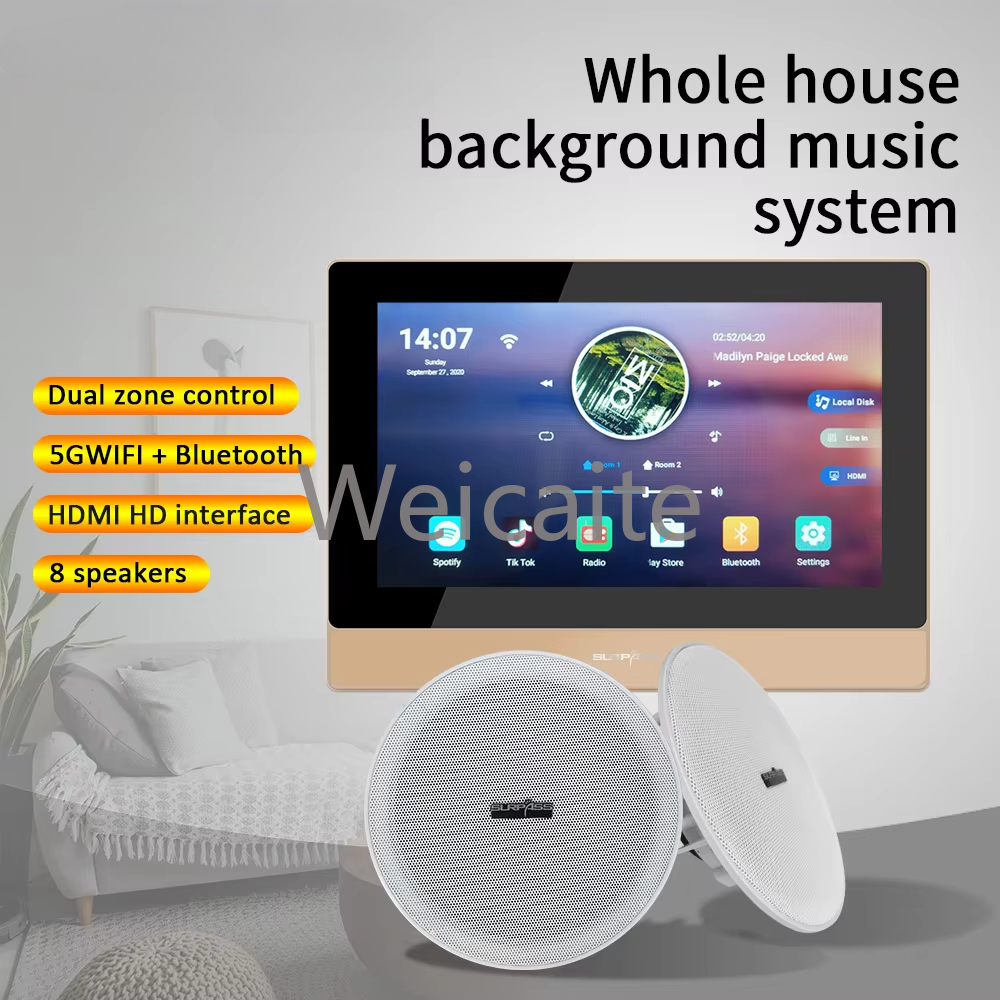 Whole House Audio Music System - đánh giá và giá Audio House Music