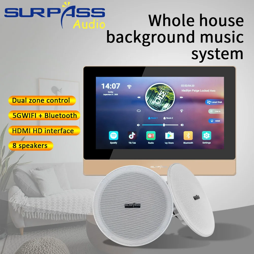 Whole House Audio Music System - đánh giá và giá Audio House Music